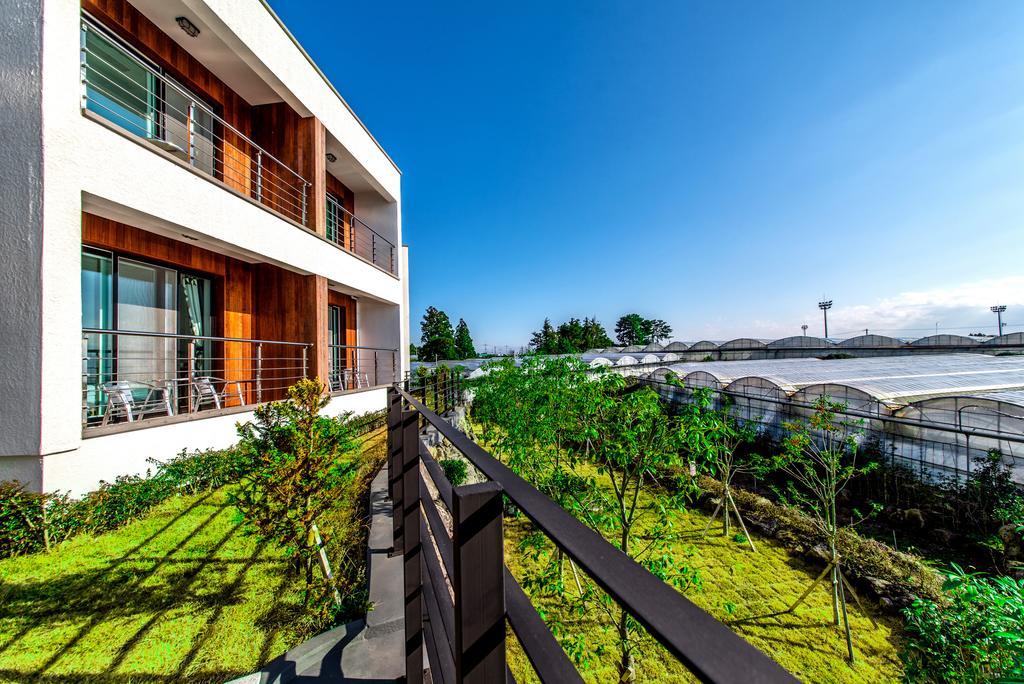 Dorami Pension Seogwipo Ngoại thất bức ảnh