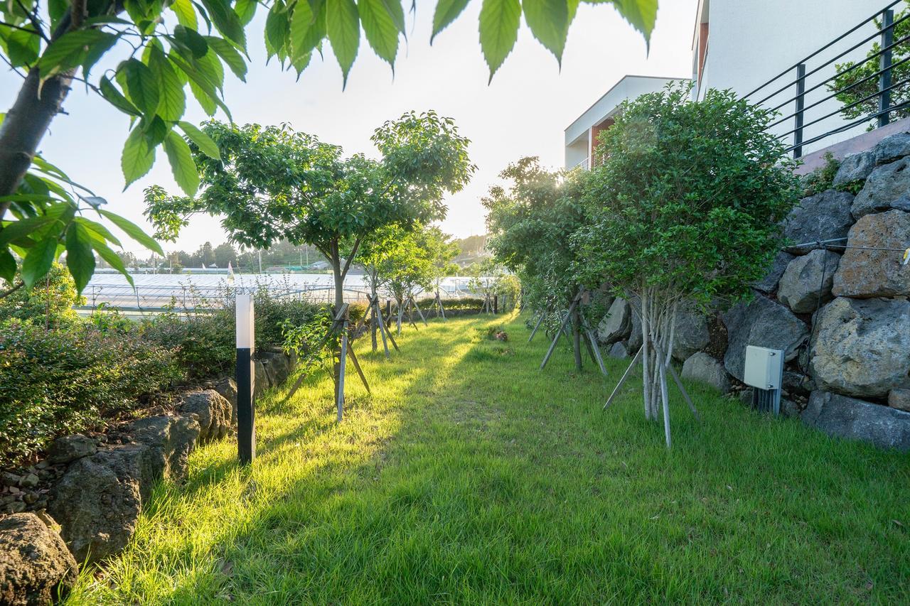 Dorami Pension Seogwipo Ngoại thất bức ảnh
